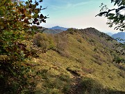 66 In discesa dal Castel Regina sul sent. 596 per il Pizzo Cerro  in cresta tra Val Brembana e Val Brembilla 